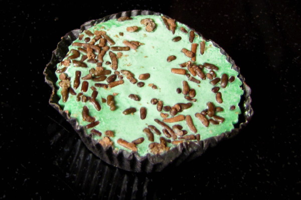 photo of mint chocolate cup from Tuck's, Rockport, MA