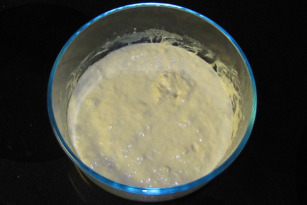 photo of bread starter