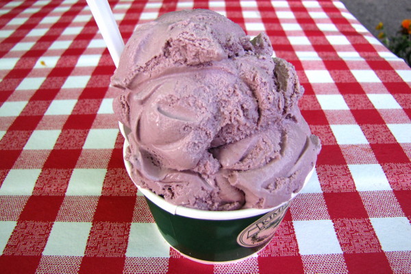 photo of black raspberry ice cream from Kimball Farm, Carlisle, MA