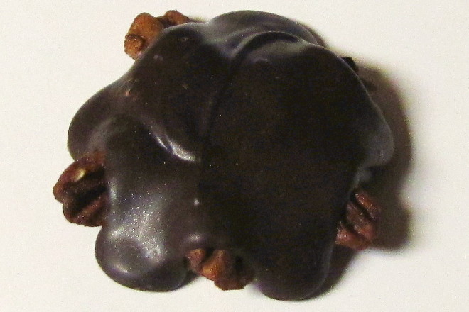 photo of Lager Tartaruga (Chocolate Turtle) from Pure Chocolate, Quincy, MA