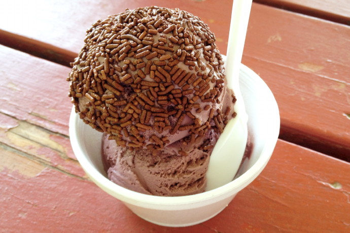 photo of black raspberry ice cream from Rota Spring Farm, Sterling, MA