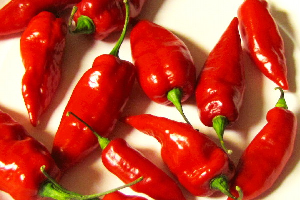 photo of ghost chili peppers from Wilson Farm, Lexington, MA